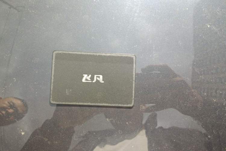 Used Rising R7 2024 Long-Range Pro Edition Vehicle Key