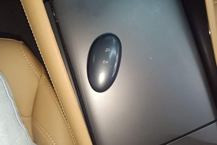 Used Rising R7 2024 Advanced Pro Edition Interior 1