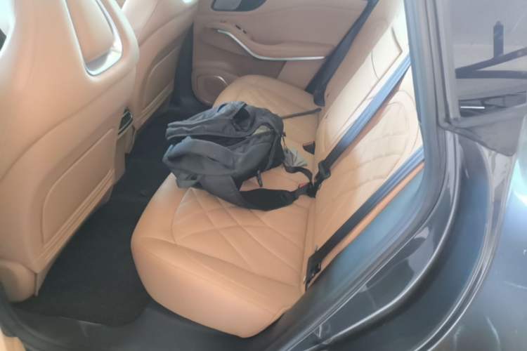 Used Rising R7 2024 Advanced Edition Left Rear Seat
