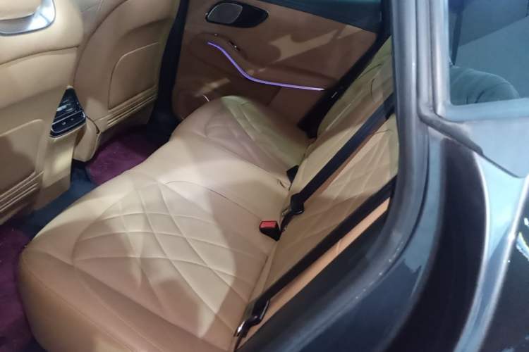 Used Rising R7 2024 Advanced Edition Left Rear Seat