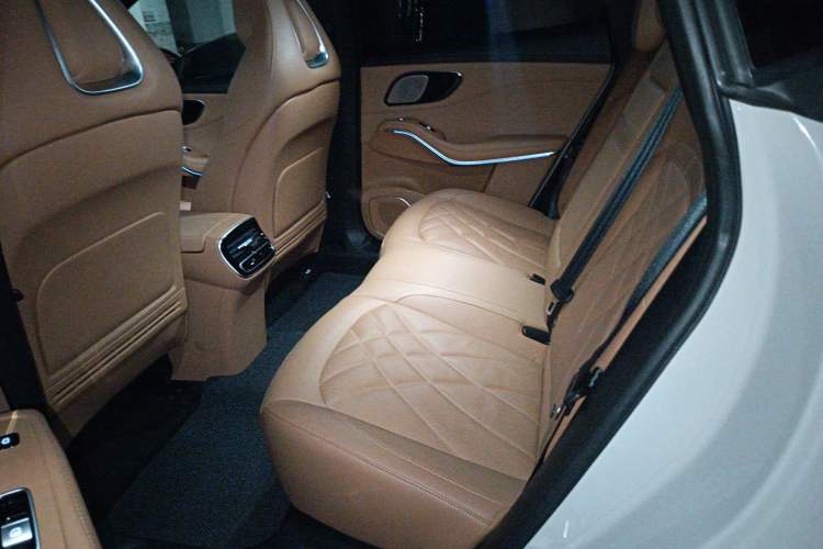 Used Rising R7 2024 Advanced Edition Left Rear Seat
