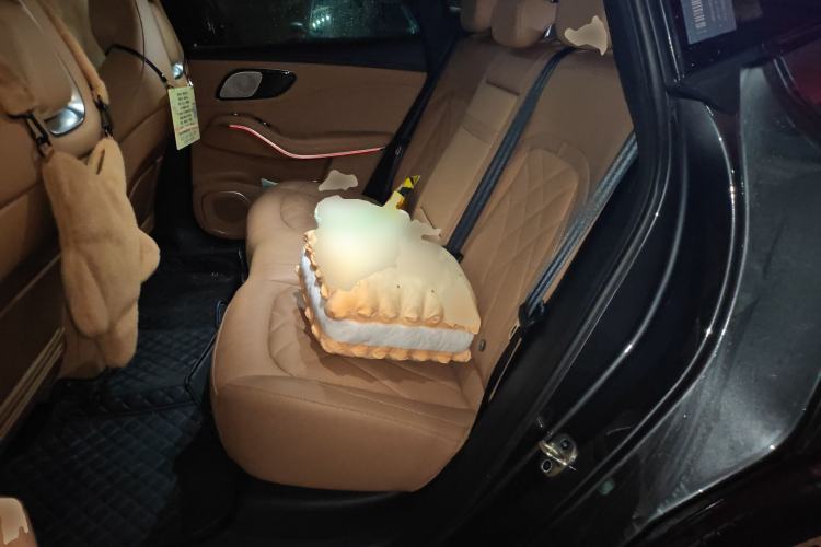 Used Rising R7 2024 Advanced Edition Left Rear Seat