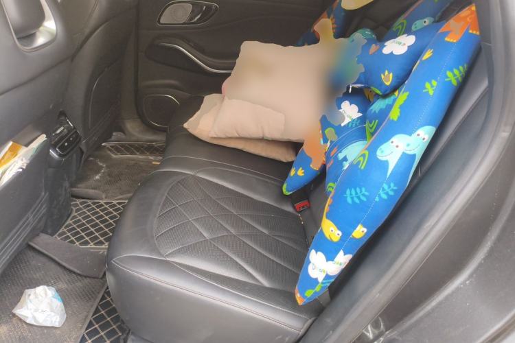Used Rising R7 2024 Advanced Edition Left Rear Seat