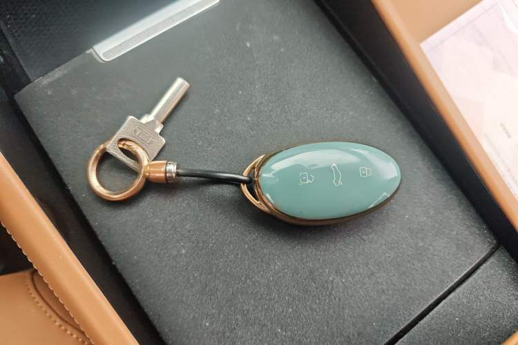 Used Rising R7 2024 Advanced Pro Edition Vehicle Key