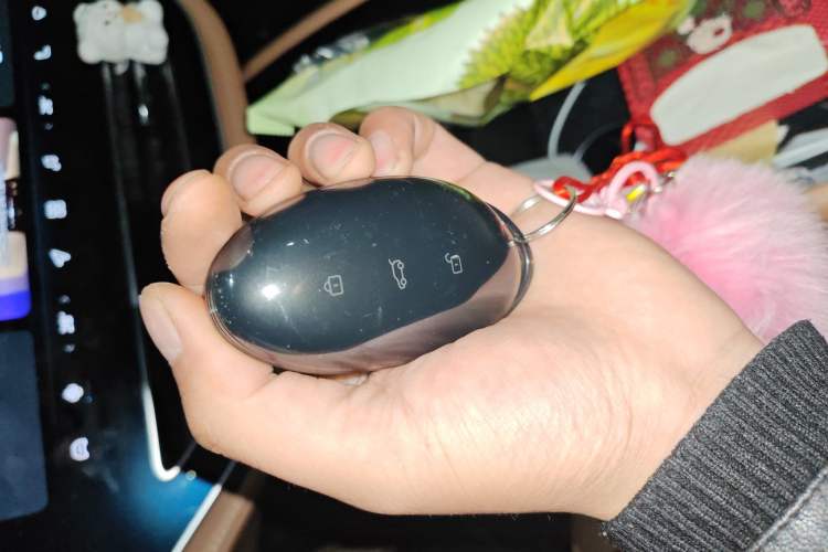 Used Rising R7 2024 Advanced Edition Vehicle Key