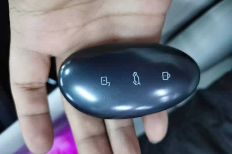 Used Rising R7 2024 Advanced Edition Vehicle Key