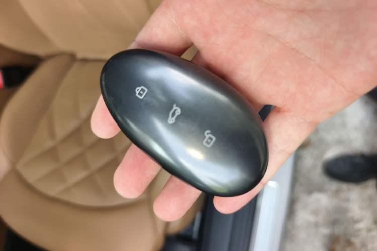 Used Rising R7 2024 Advanced Pro Edition Vehicle Key