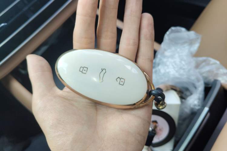 Used Rising R7 2024 Advanced Edition Vehicle Key