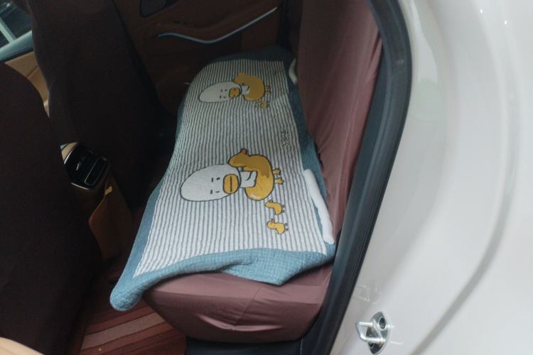 Used Rising R7 2024 Advanced Edition Left Rear Seat