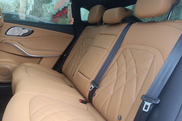Used Rising R7 2024 Advanced Edition Left Rear Seat