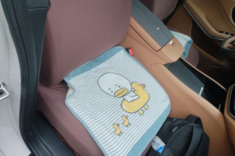 Used Rising R7 2024 Advanced Edition Right Front Seat