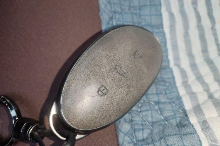 Used Rising R7 2024 Advanced Edition Vehicle Key