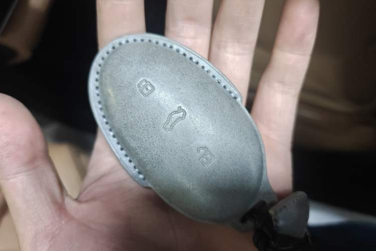 Used Rising R7 2024 Advanced Pro Edition Vehicle Key