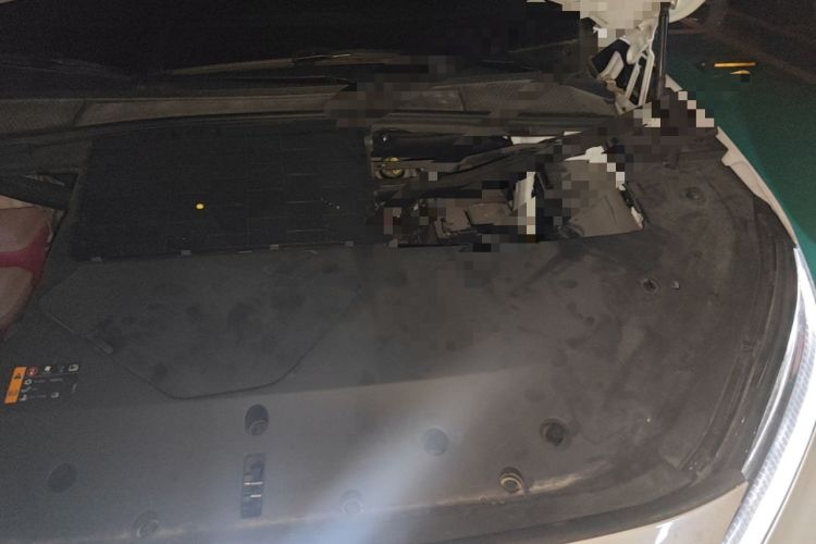 Used Rising R7 2024 Advanced Edition Engine Bay Left