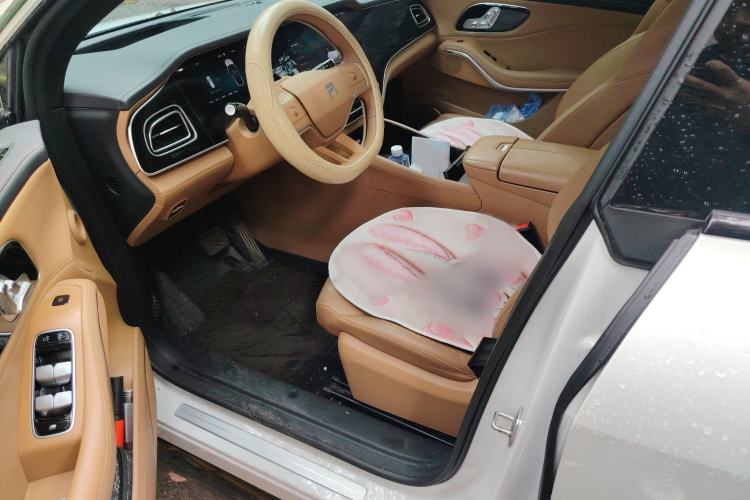 Used Rising R7 2024 Advanced Pro Edition Left Front Seat