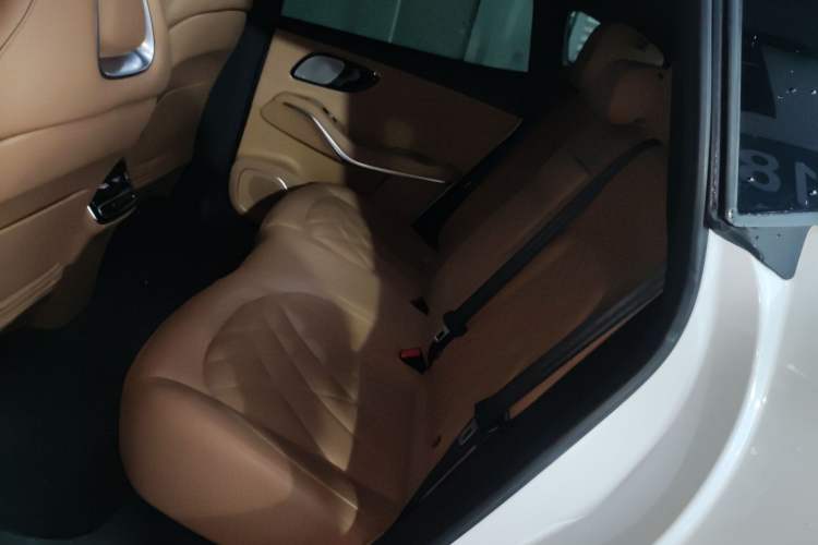 Used Rising R7 2024 Advanced Edition Left Rear Seat