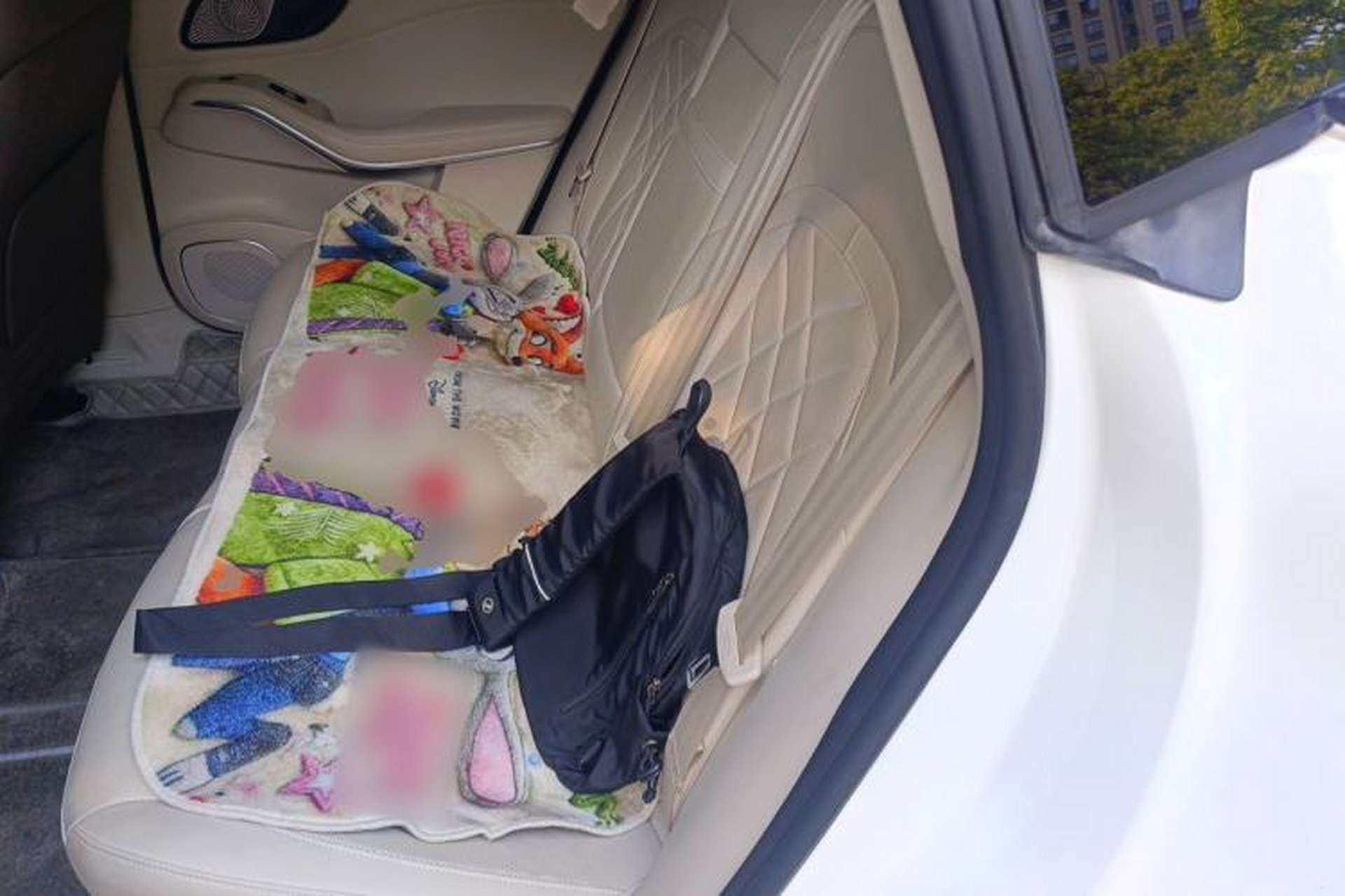 Used Rising R7 2024 Advanced Edition Left Rear Seat
