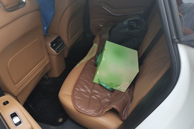 Used Rising R7 2024 Advanced Pro Edition Left Rear Seat