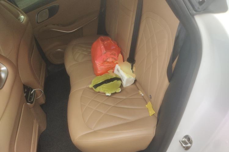 Used Rising R7 2024 Advanced Edition Left Rear Seat