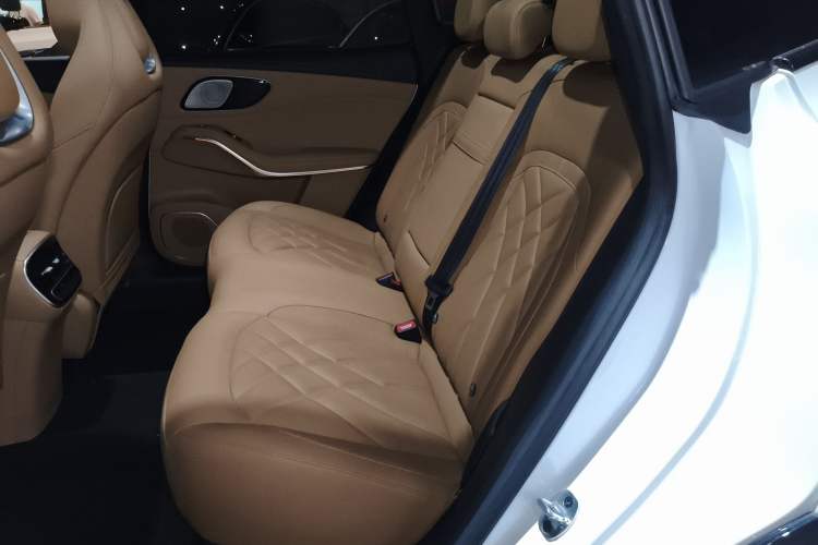 Used Rising R7 2024 Advanced Edition Left Rear Seat