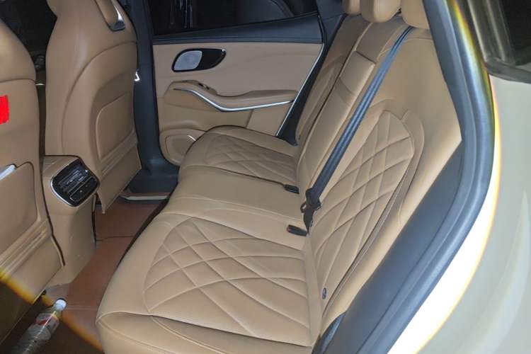 Used Rising R7 2024 Advanced Edition Left Rear Seat