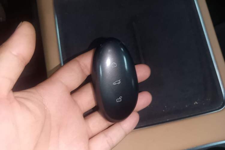Used Rising R7 2025 Model Advanced Edition Vehicle Key