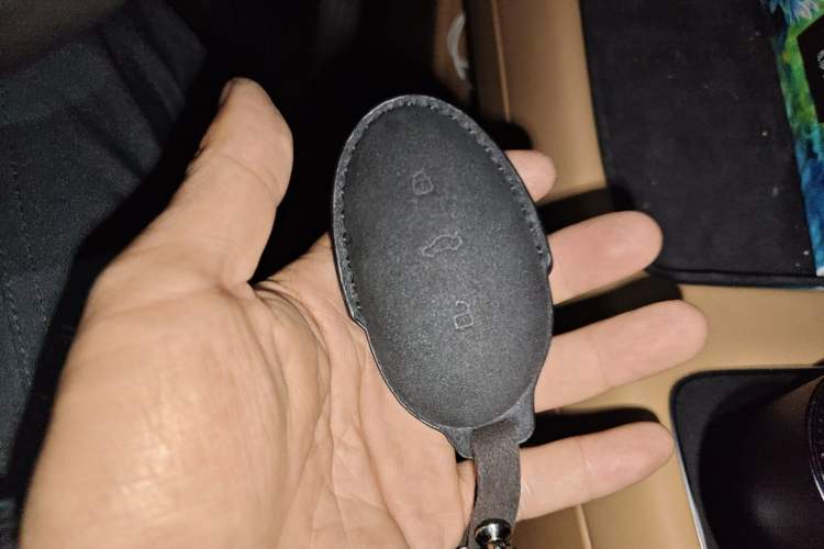 Used Rising R7 2025 Model Advanced Edition Vehicle Key