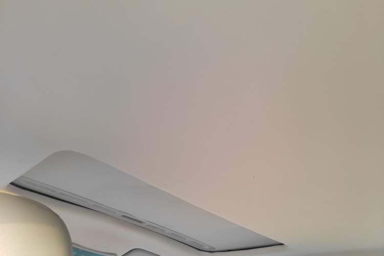 Used Roewe 350 2010 350C 1.5L Automatic Xunyi Edition Headliner