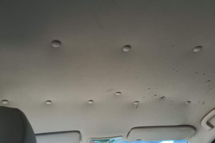 Used Roewe 350 2011 350S 1.5L Manual Xunchi Edition Headliner