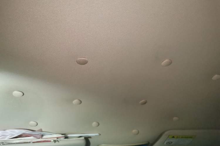 Used Roewe 350 2013 350S 1.5L Manual Xunchi Edition Headliner