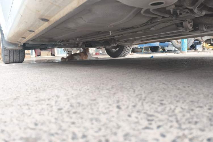 Used Roewe 350 2013 350C 1.5L Manual Swift Edition Chassis Rear Left