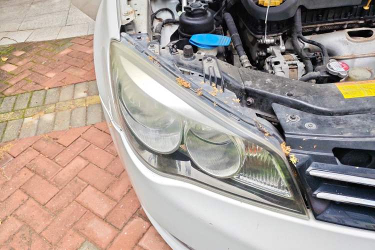 Used Roewe 350 2013 350S 1.5L Automatic Xunda Edition Right Front Headlight