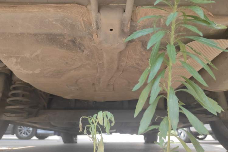 Used Roewe 350 2014 1.5L Manual Xunchi Edition Chassis Rear