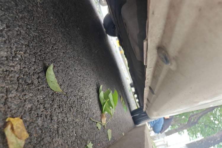 Used Roewe 350 2014 1.5L Manual Xunchi Edition Chassis Rear Right