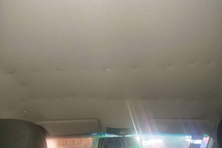 Used Roewe 350 2014 1.5L Manual Xunchi Edition Headliner