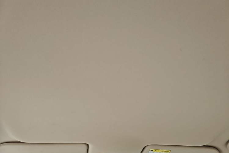 Used Roewe 350 2014 1.5L Automatic Xunda Edition Headliner