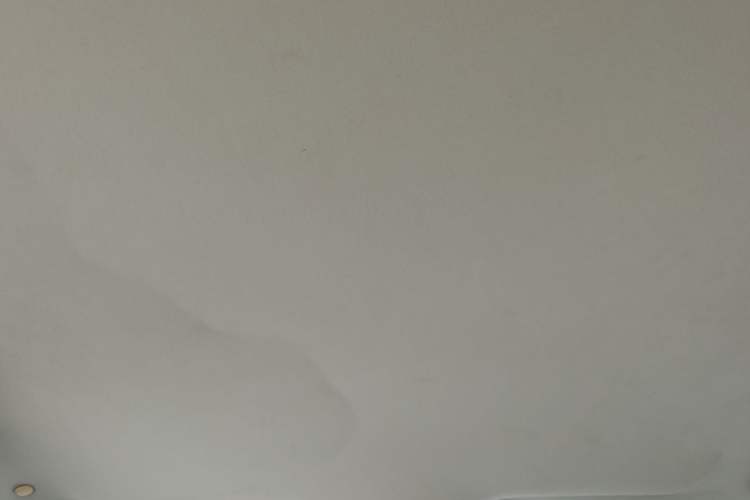 Used Roewe 350 2014 1.5L Automatic Xunda Edition Headliner