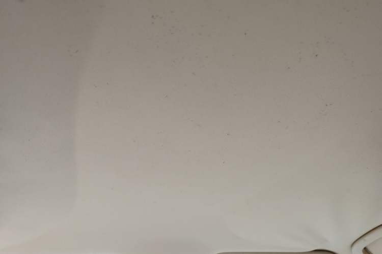 Used Roewe 350 2014 1.5L Manual Xunchi Edition Headliner