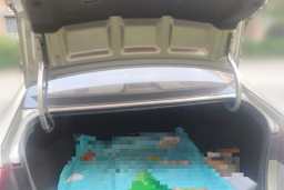 Thumbnail 20