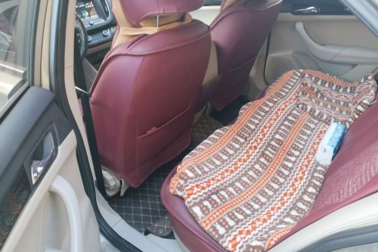Used Roewe 360 2015 1.5L Automatic Luxury Edition Left Rear Seat