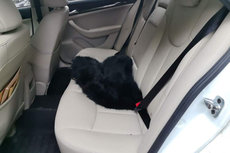 Used Roewe 360 2015 1.5L Manual Luxury Edition Left Rear Seat