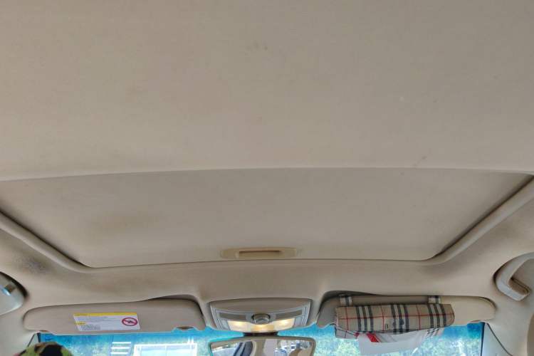 Used Roewe 550 2010 550D 1.8T Automatic Luxury Edition Headliner