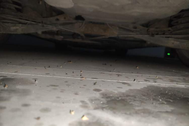 Used Roewe 550 2012 550 1.8T Automatic Full-Gold Limited Edition Chassis Rear
