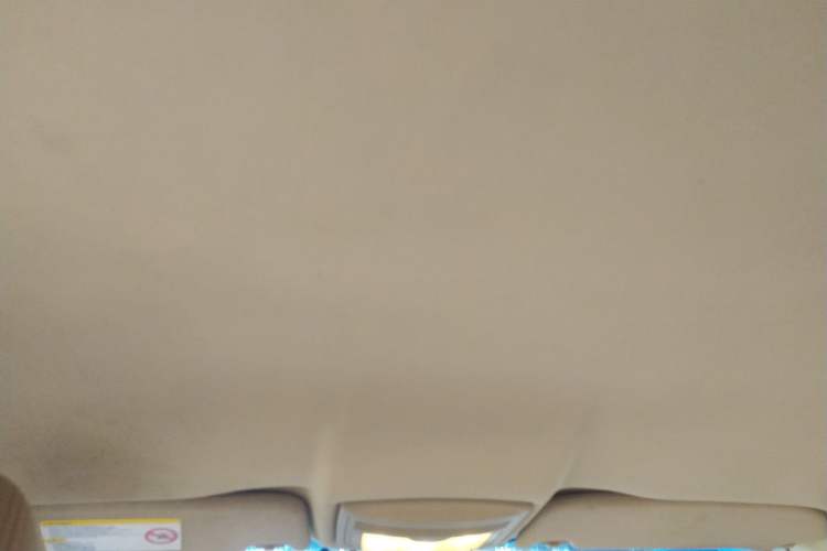 Used Roewe 550 2013 Classic Edition 550 1.8L Automatic Fashion Model Headliner