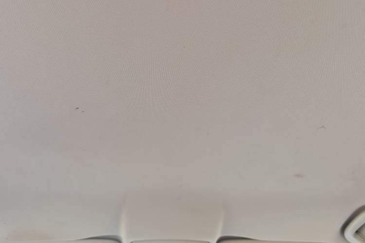 Used Roewe 550 2013 Classic Edition 550 1.8L Manual Fashion Model Headliner