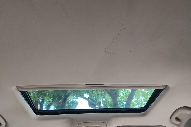 Used Roewe 950 2012 2.4L Luxury Executive Edition Headliner