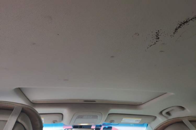 Used Roewe 950 2012 2.0L Comfort Edition Headliner
