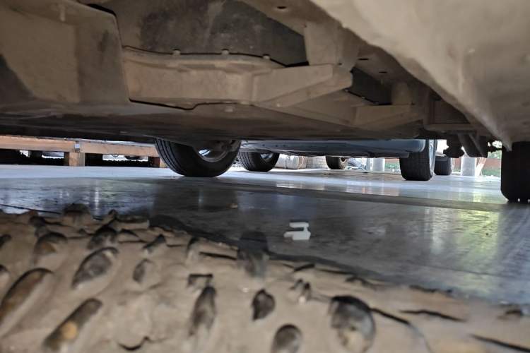 Used Roewe Clever 2020 Urban Style Edition Chassis Front Left