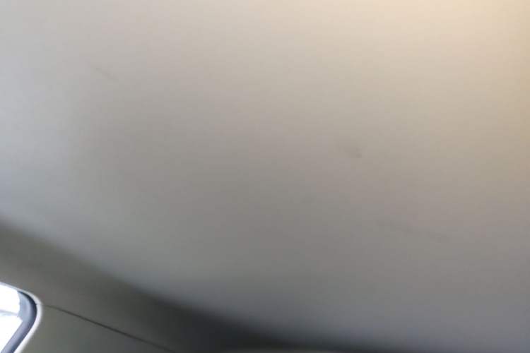 Used Roewe Clever 2020 Urban Style Edition Headliner