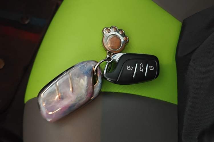 Used Roewe Clever 2021 302km Excellence Edition Vehicle Key